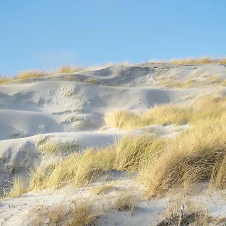 Alte Schule Ehst ヴェスターヘーヴァー